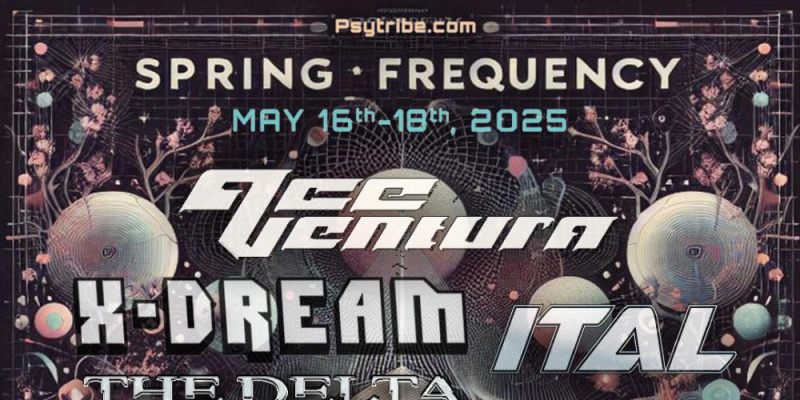 Spring Frequency 2025 Flyer