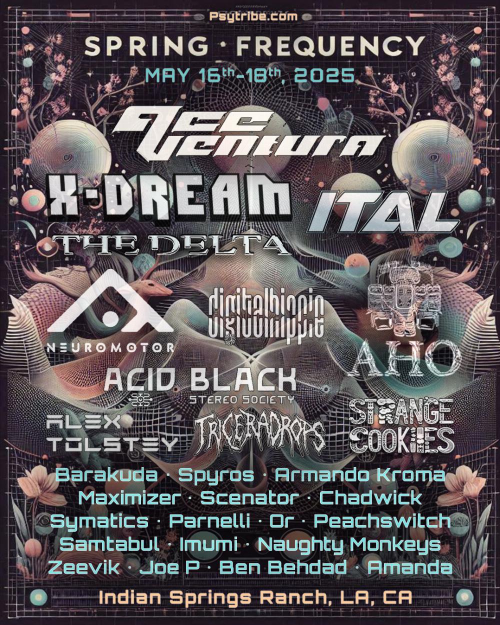 Spring Frequency 2025 Flyer